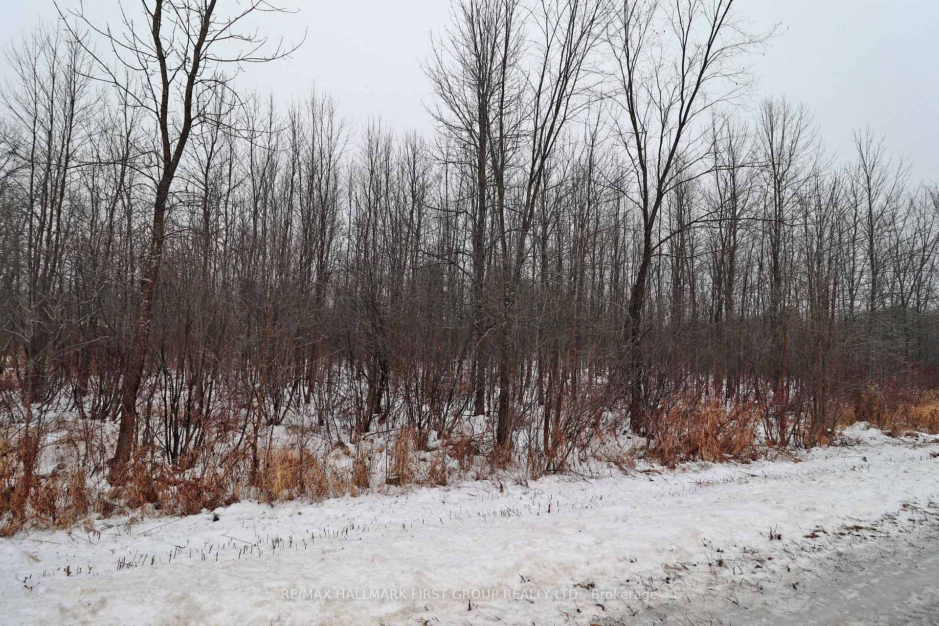 Photo 10 of 1481 Sulphide Road, Tweed, Hungerford (Twp) — HOMEH