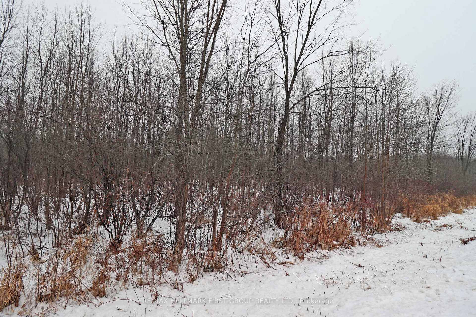 Photo 11 of 1481 Sulphide Road, Tweed, Hungerford (Twp) — HOMEH