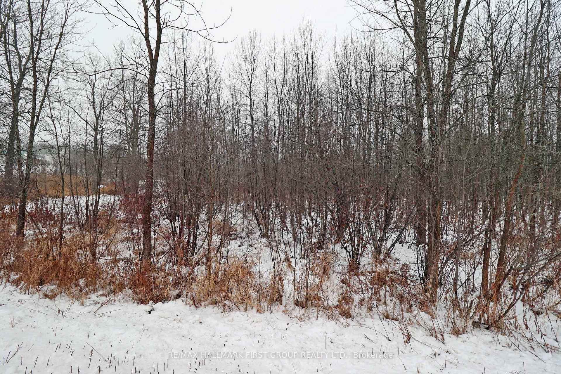 Photo 12 of 1481 Sulphide Road, Tweed, Hungerford (Twp) — HOMEH