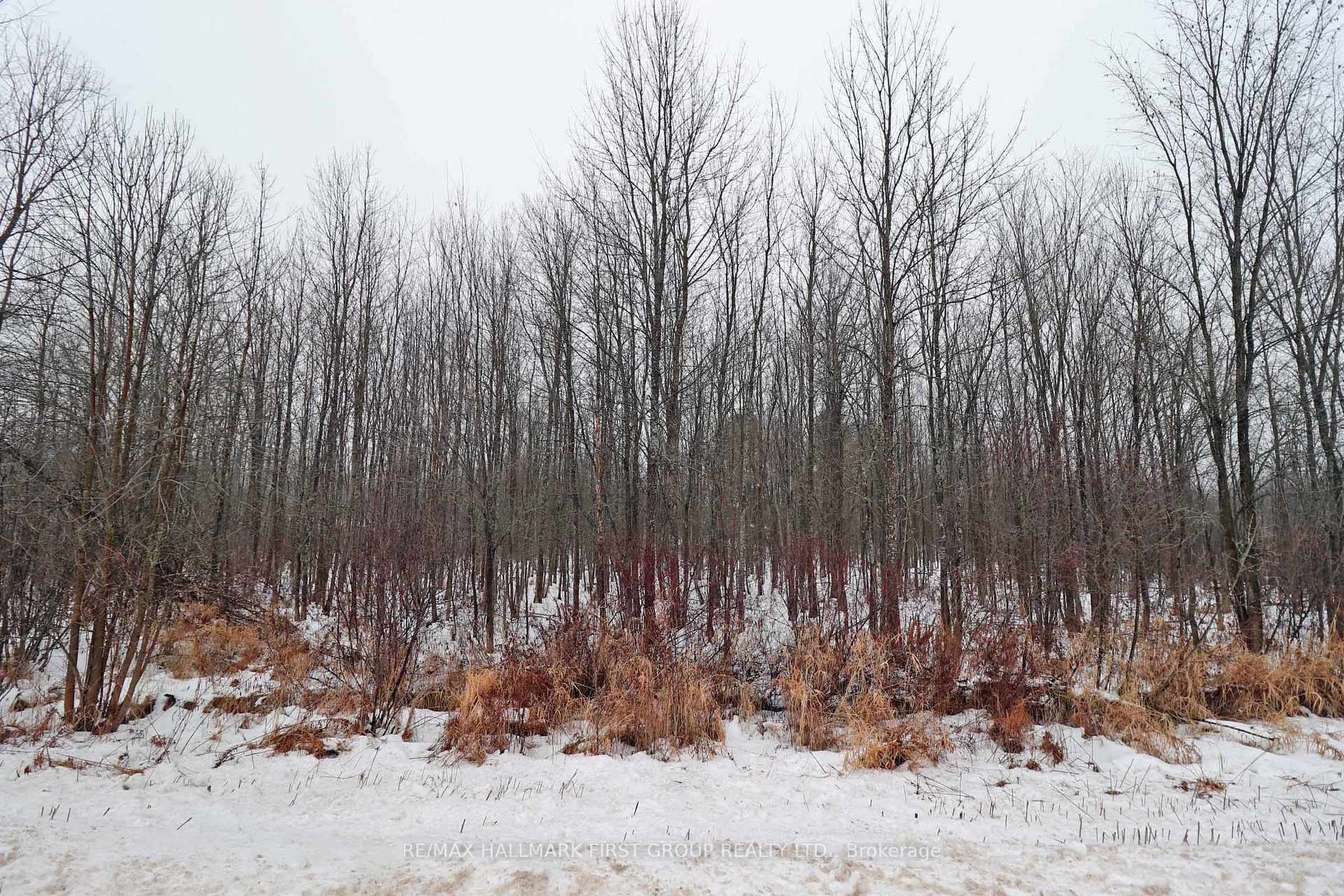 Photo 13 of 1481 Sulphide Road, Tweed, Hungerford (Twp) — HOMEH