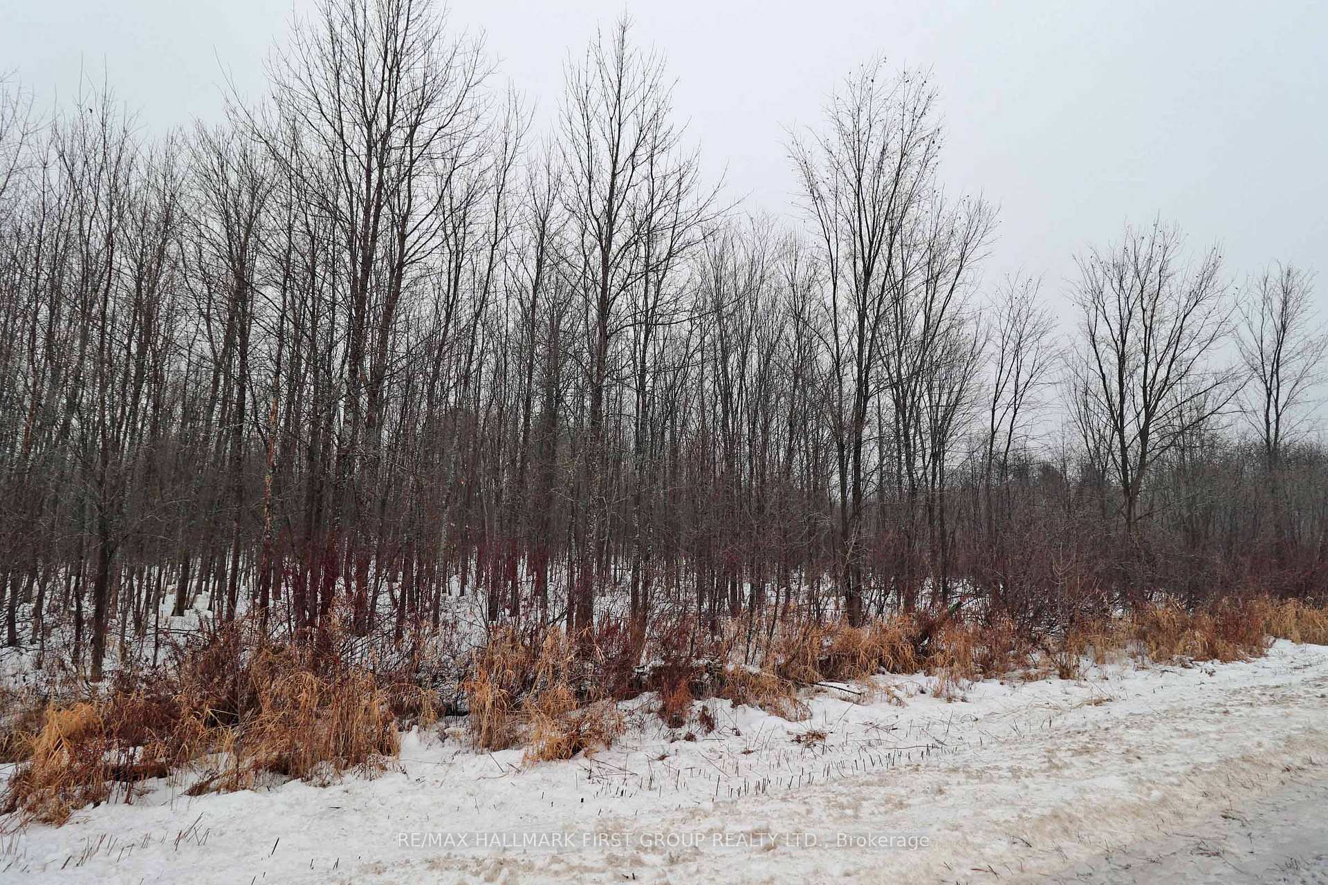 Photo 14 of 1481 Sulphide Road, Tweed, Hungerford (Twp) — HOMEH