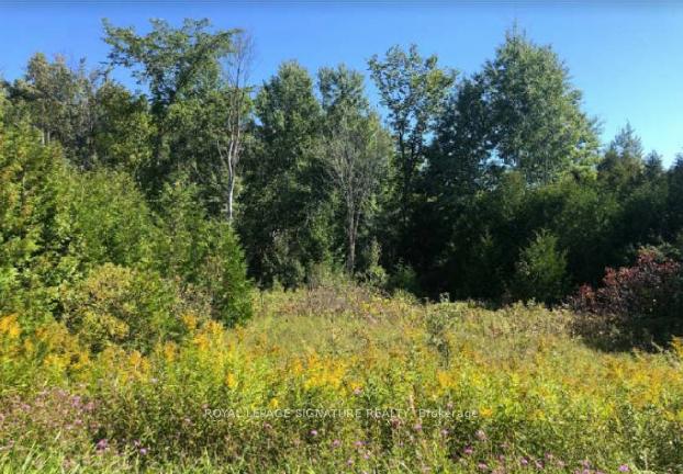 Photo 3 of Mulock Road, West Grey — HOMEH