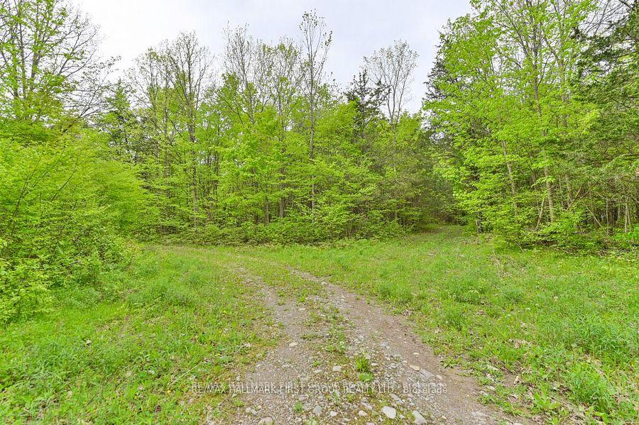 Photo 21 of 452B Cold Water Road, Tweed — HOMEH