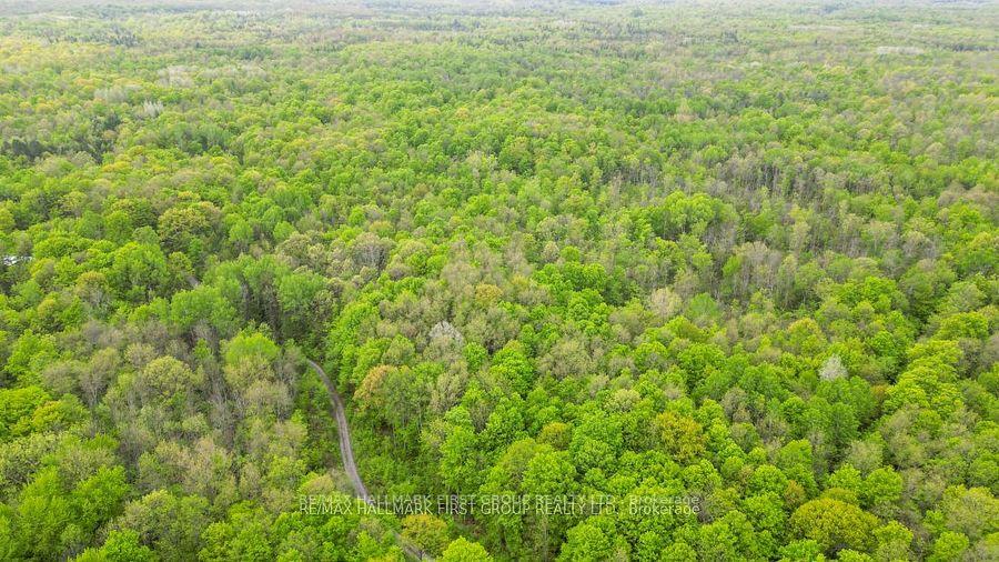 Photo 23 of 452B Cold Water Road, Tweed — HOMEH