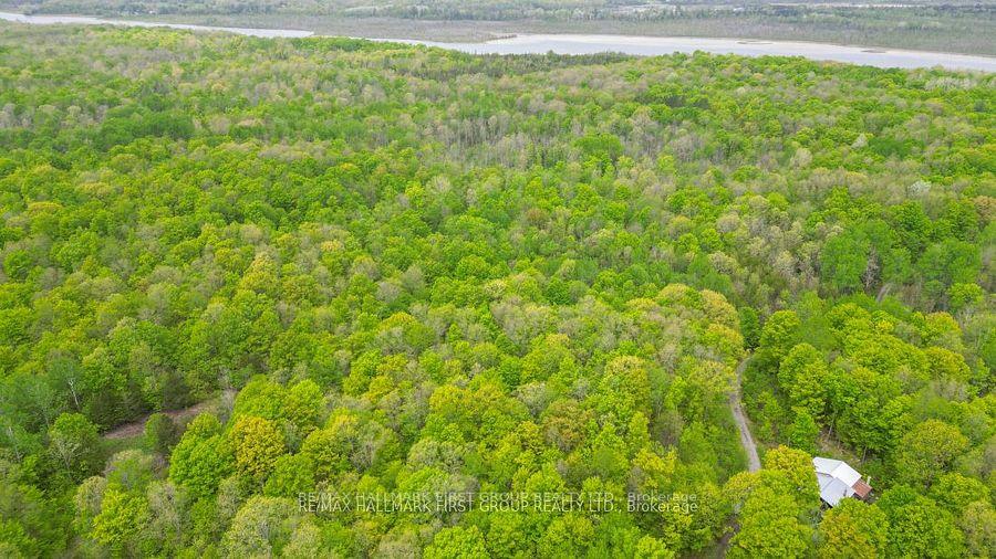 Photo 25 of 452B Cold Water Road, Tweed — HOMEH