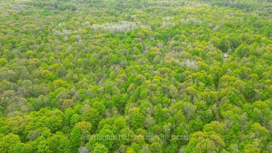 Photo 27 of 452B Cold Water Road, Tweed — HOMEH