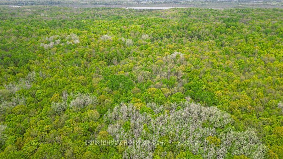 Photo 29 of 452B Cold Water Road, Tweed — HOMEH