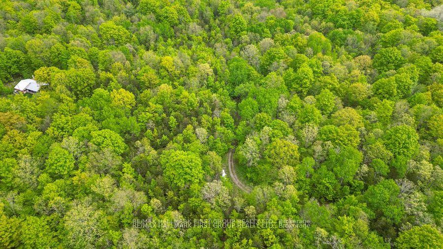 Photo 31 of 452B Cold Water Road, Tweed — HOMEH