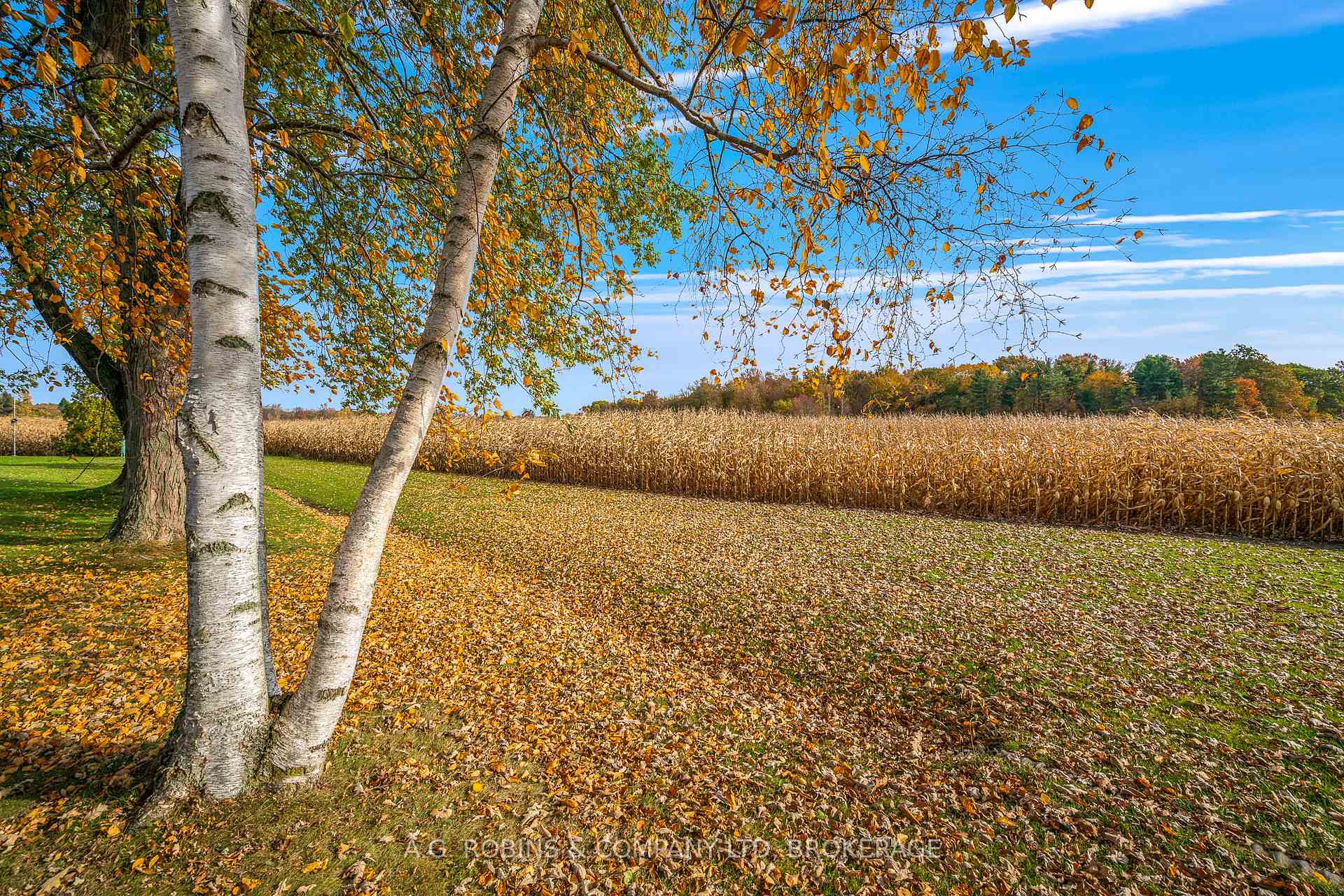Photo 35 of 53089 Perry Road, Wainfleet, Marshville/Winger — HOMEH