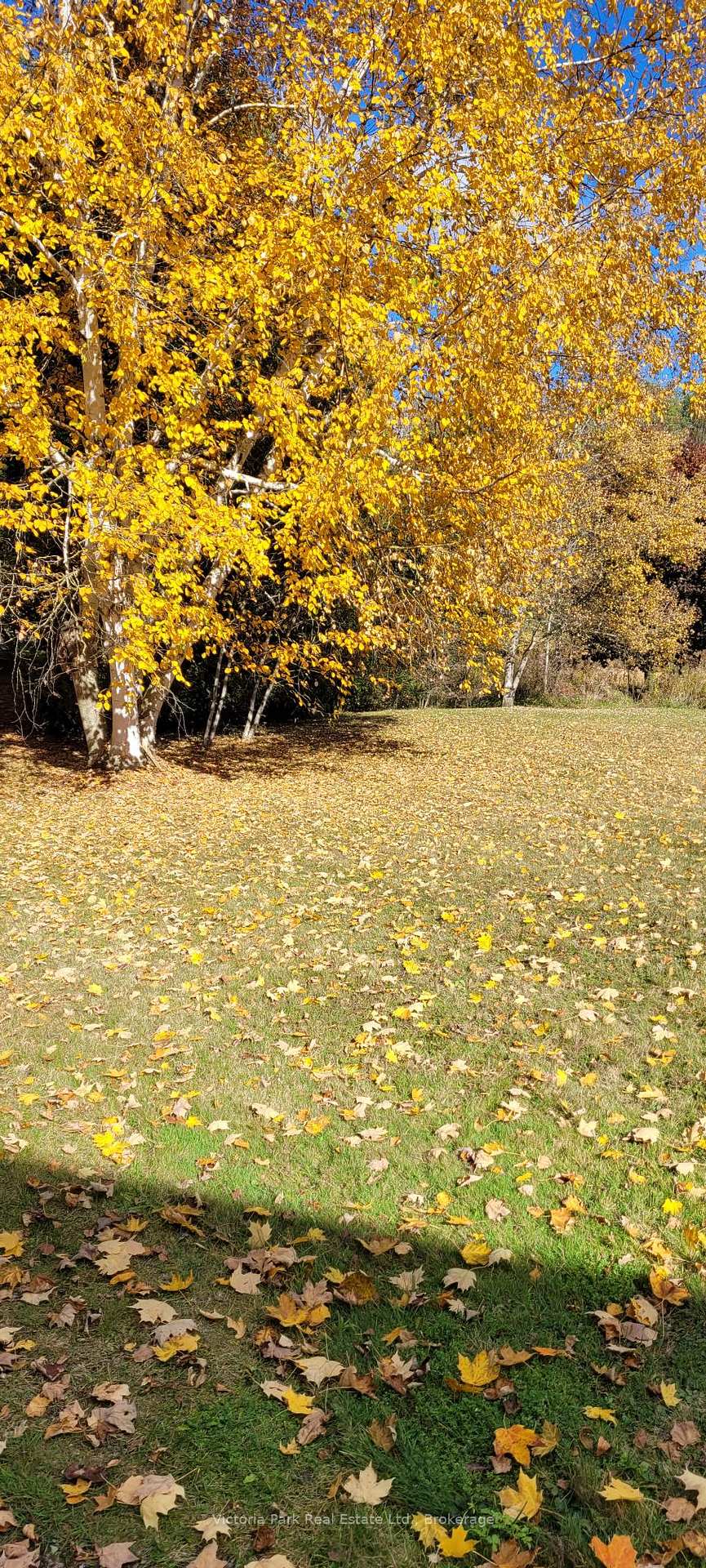 Photo 46 of 7135 3 Side Road E, Wellington North, Rural Wellington North — HOMEH