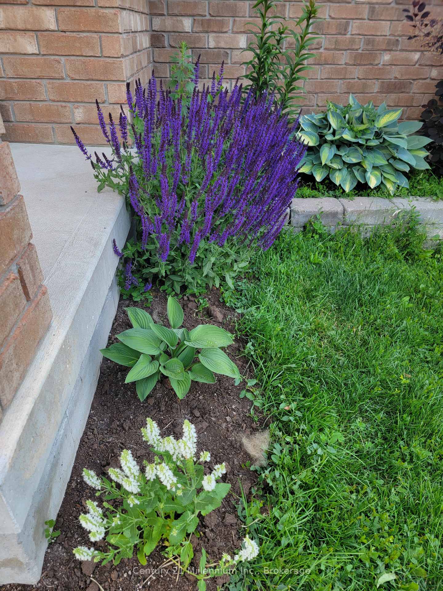Photo 33 of 140 Constance Boulevard, Wasaga Beach — HOMEH