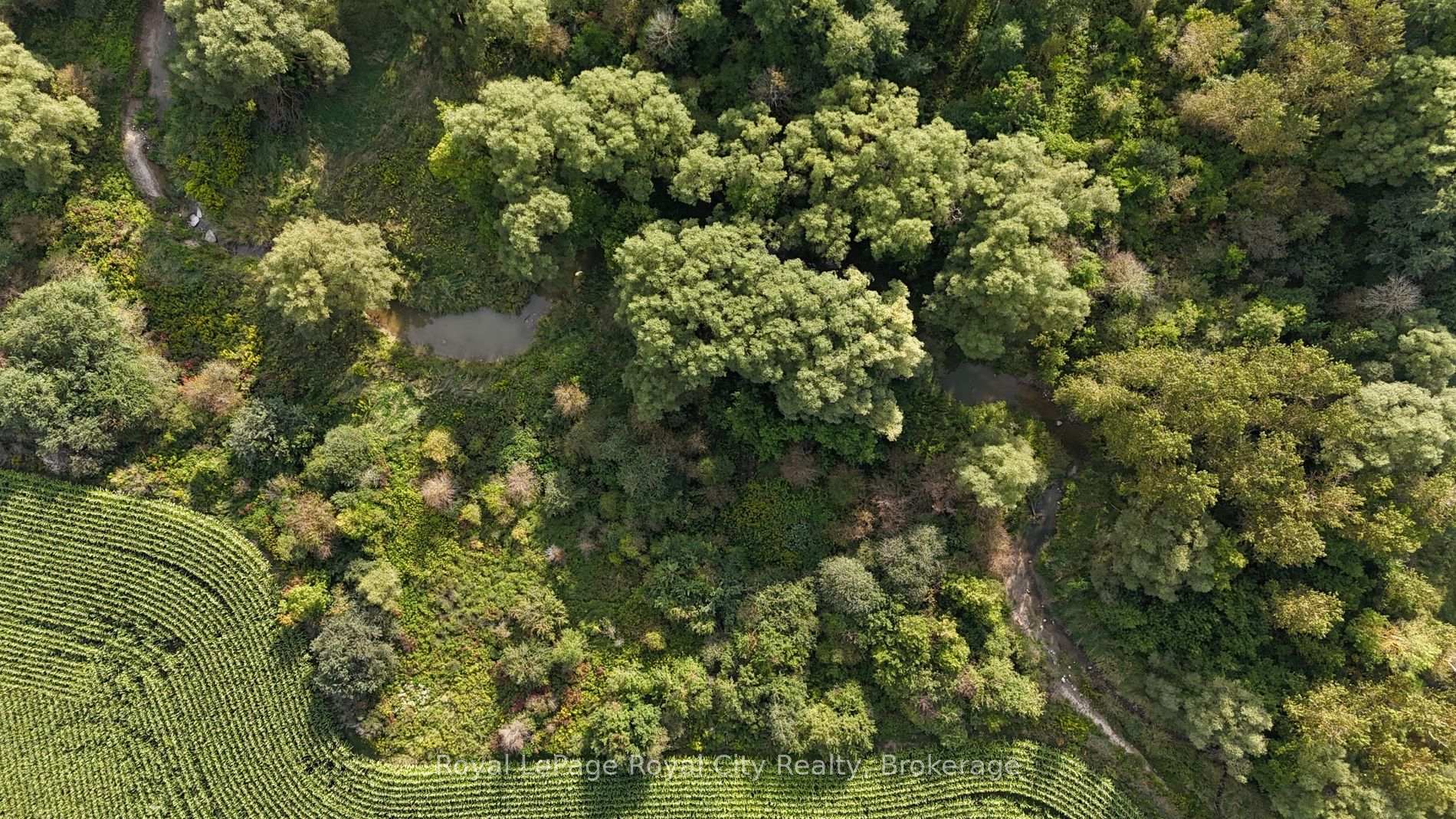 Photo 14 of 8510 6 Highway, Wellington North, Rural Wellington North — HOMEH