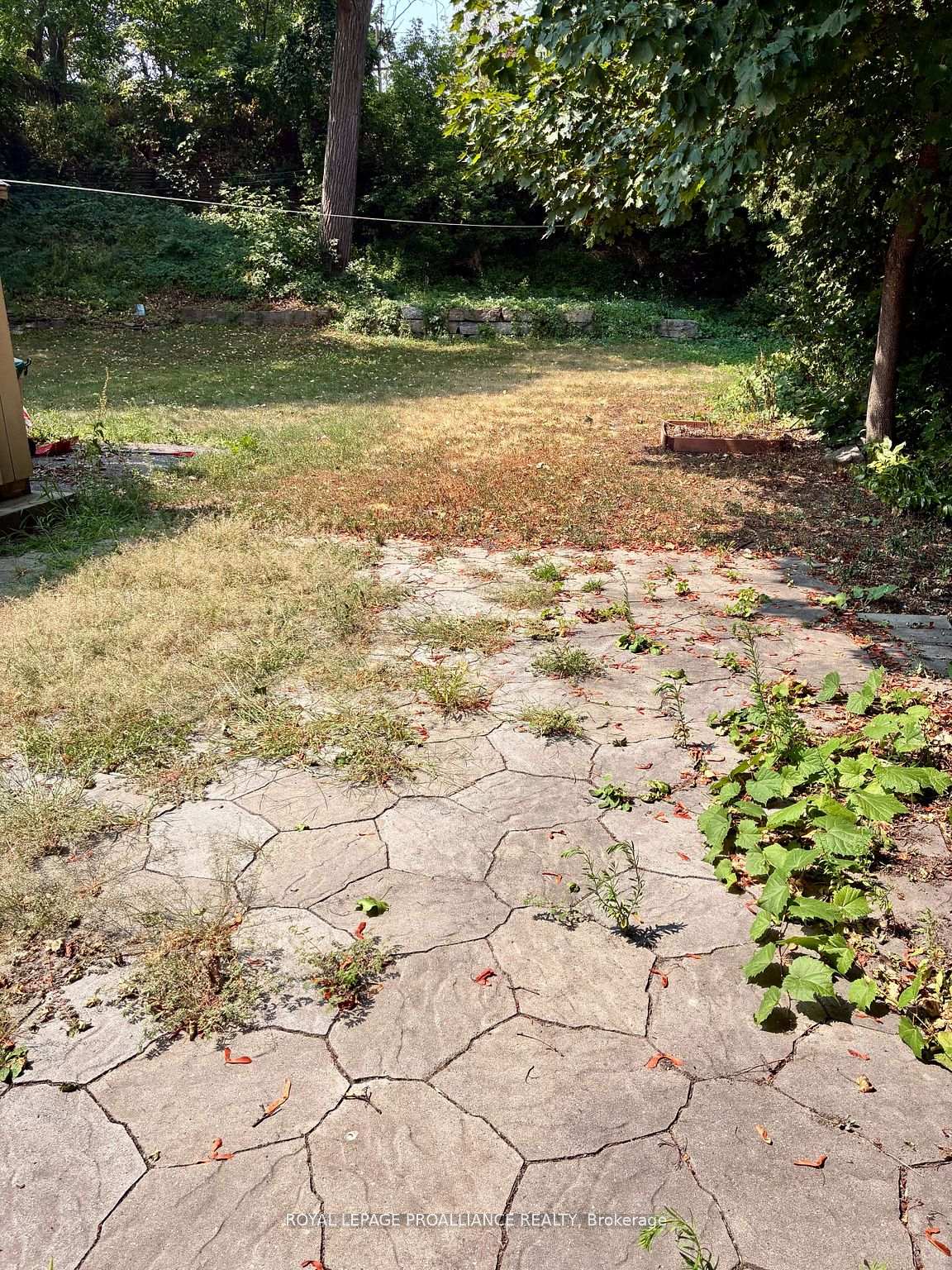 Photo 21 of 20 Murney Street, Belleville, Belleville Ward — HOMEH