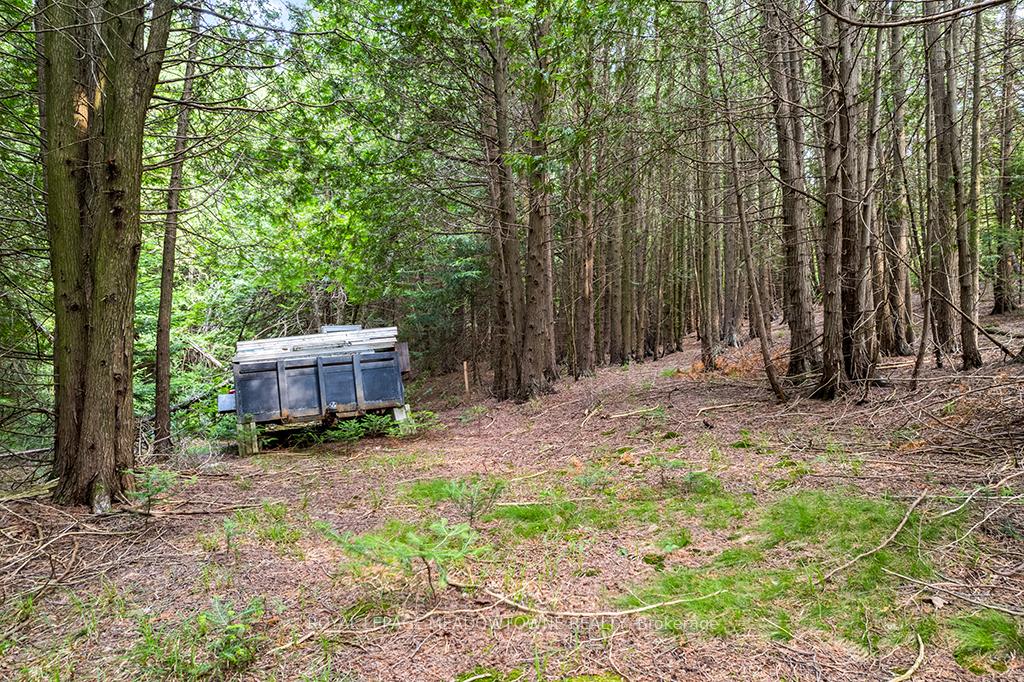 Photo 4 of 126 Highland Drive, West Grey — HOMEH