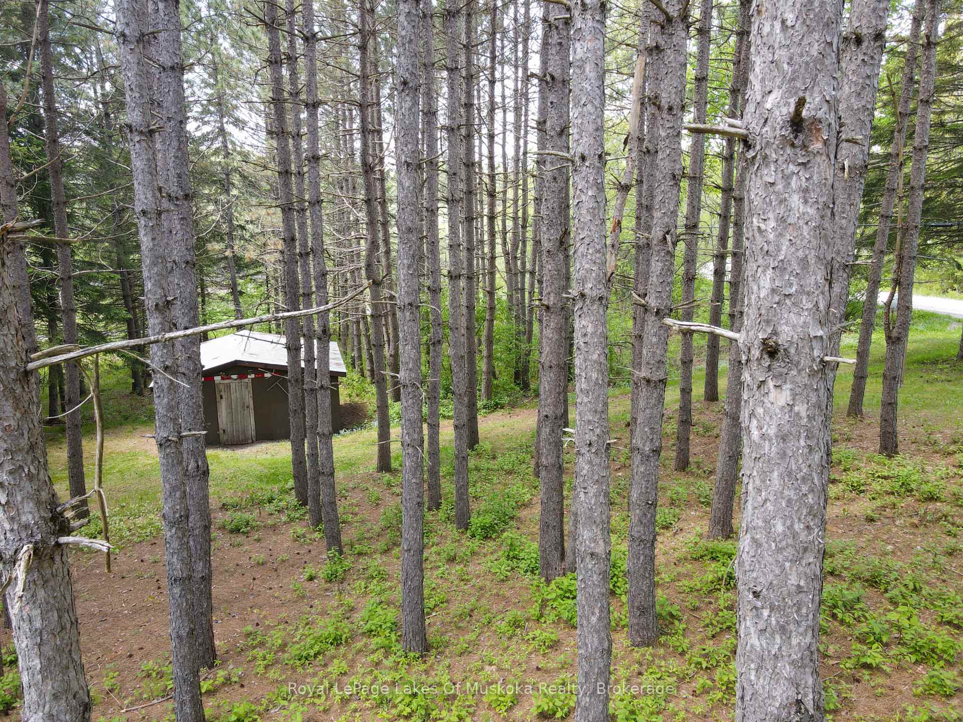 Photo 36 of 226 Owl Lake Road, Armour, Katrine — HOMEH