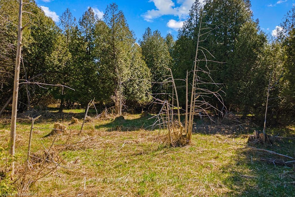 Photo 14 of 312188 Highway 6, West Grey — HOMEH