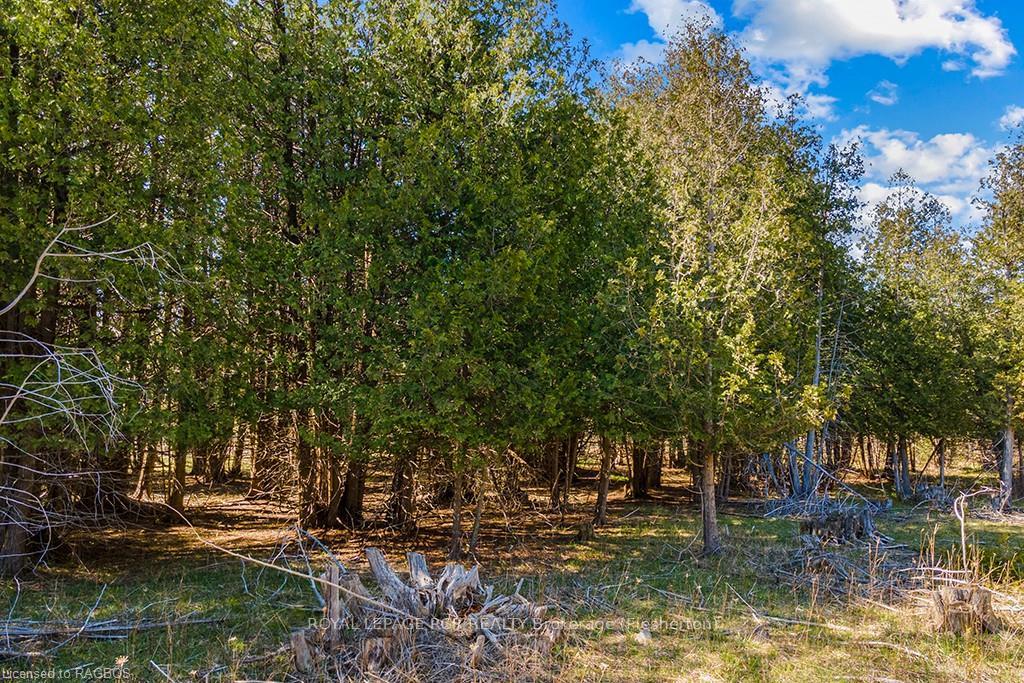 Photo 15 of 312188 Highway 6, West Grey — HOMEH