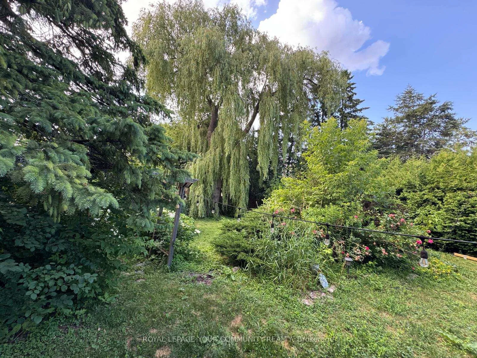 Photo 20 of 100 Richardson Dr, Aurora, Aurora Highlands — HOMEH