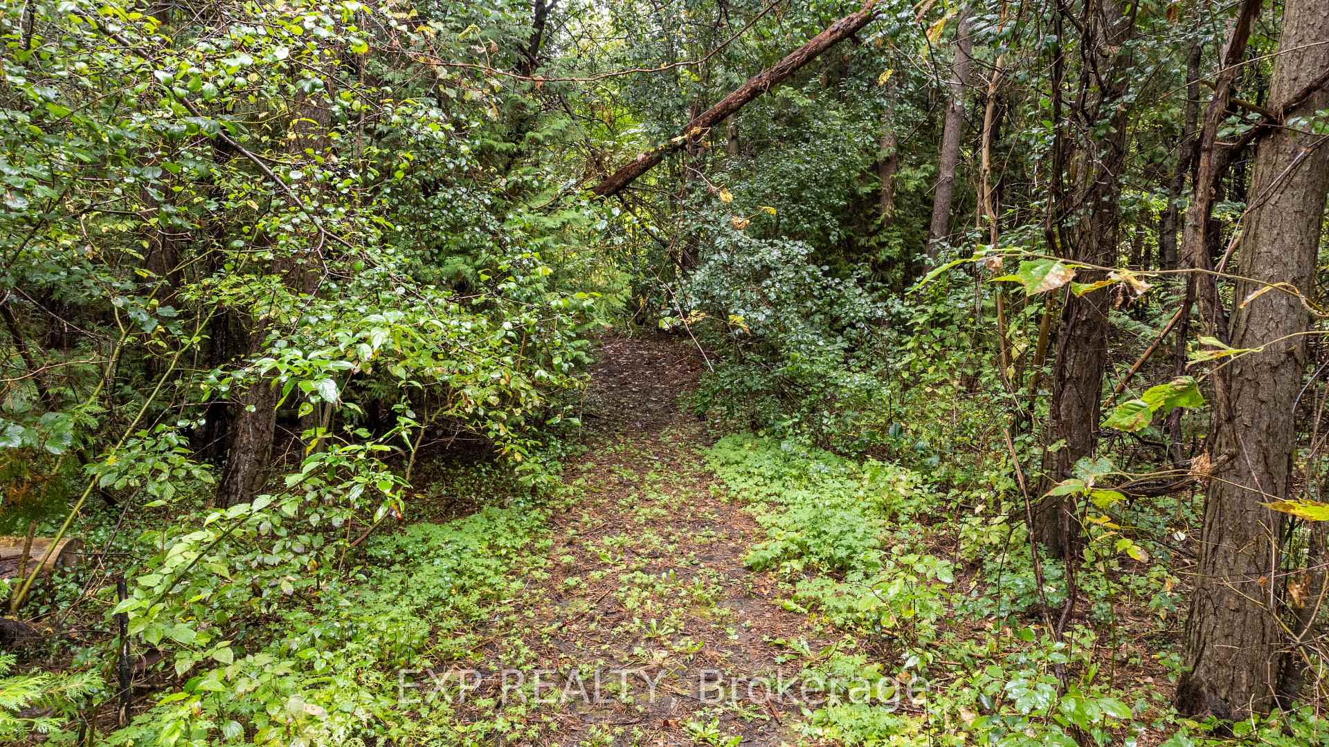 Photo 10 of 707 Foster Drive, Uxbridge, Rural Uxbridge — HOMEH