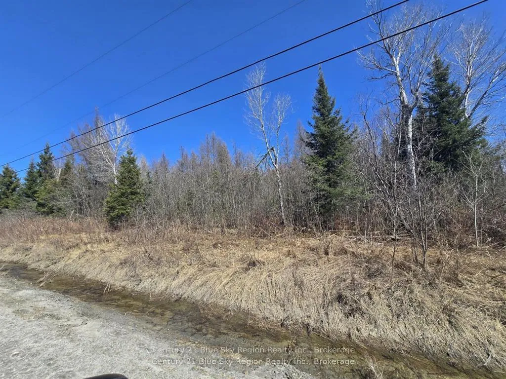 Front of Lot 1 Tomiko Road