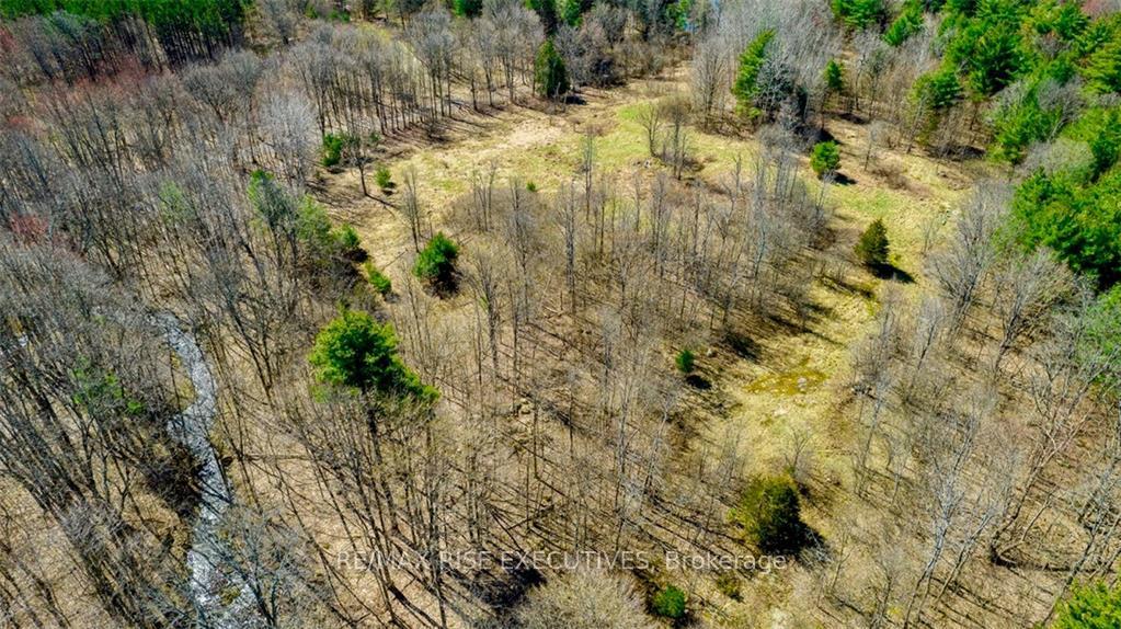 Photo 4 of PL20 Dixie Road, Athens, R of Yonge & Escott Twp — HOMEH