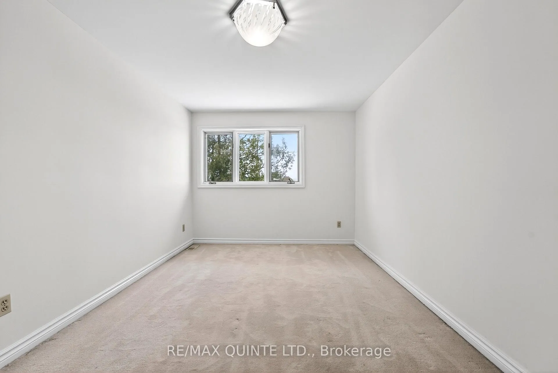 Photo 35 of 236 Palmer Road, Belleville, Belleville Ward — HOMEH