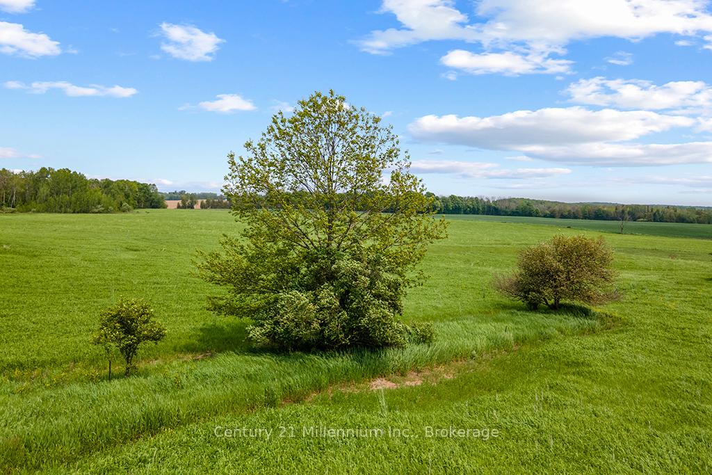 Photo 4 of 381103 Concession Road 4, West Grey — HOMEH