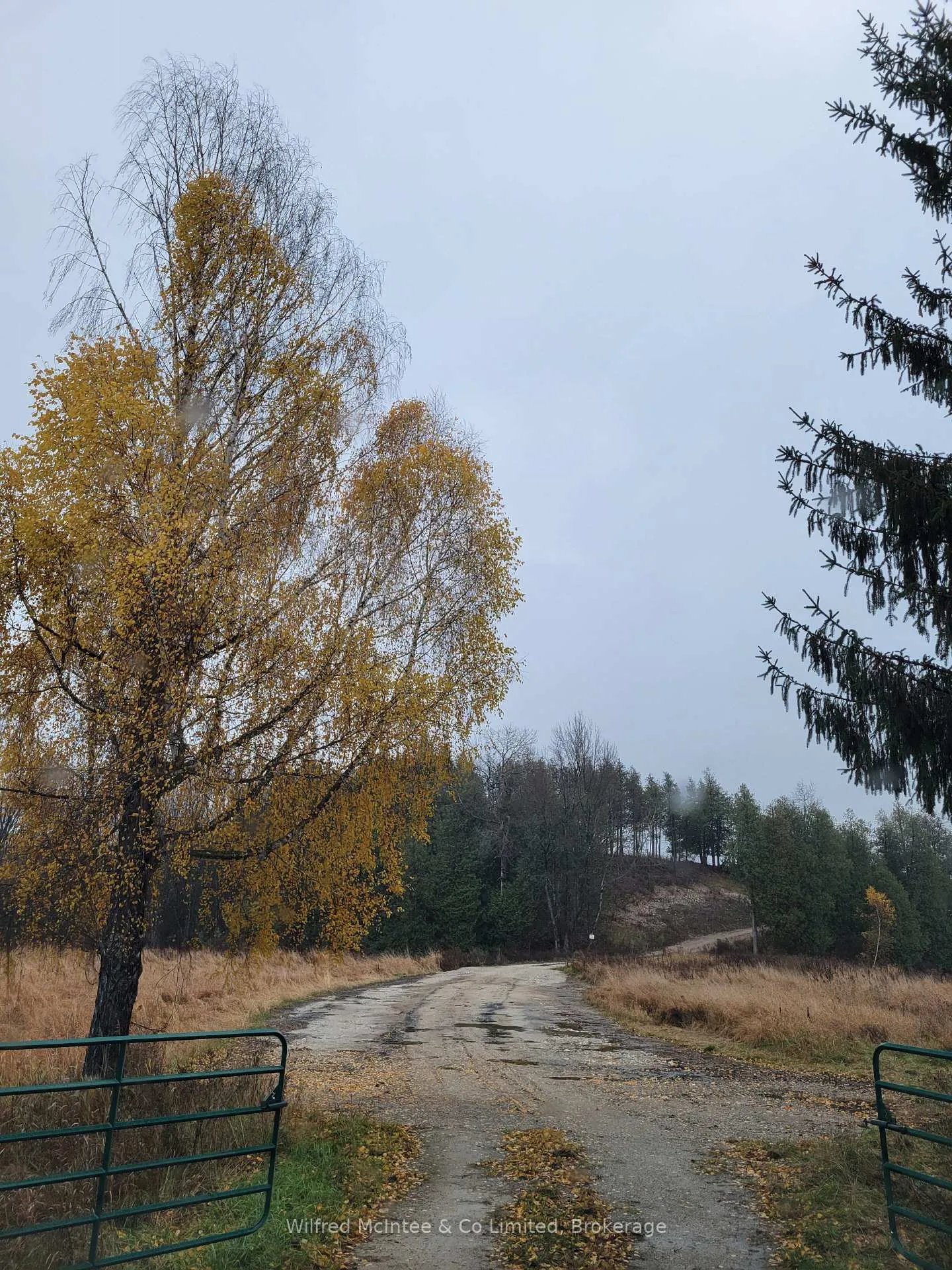 Photo 1 of Lot 37 Con 2 NDR, West Grey — HOMEH