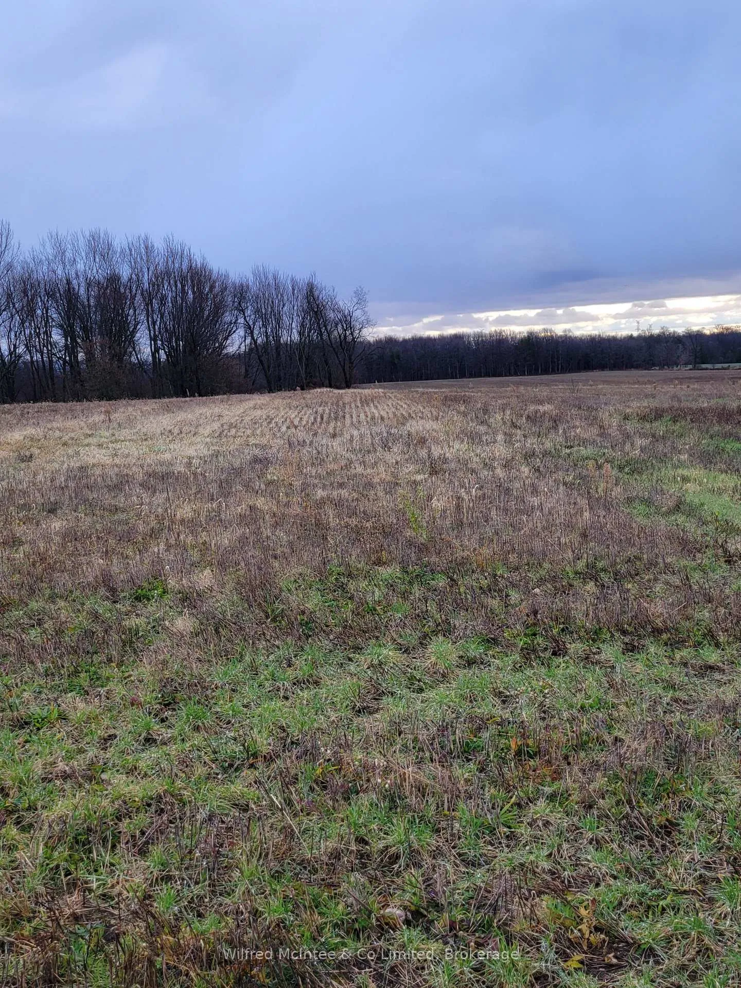 Photo 9 of Lot 37 Con 2 NDR, West Grey — HOMEH