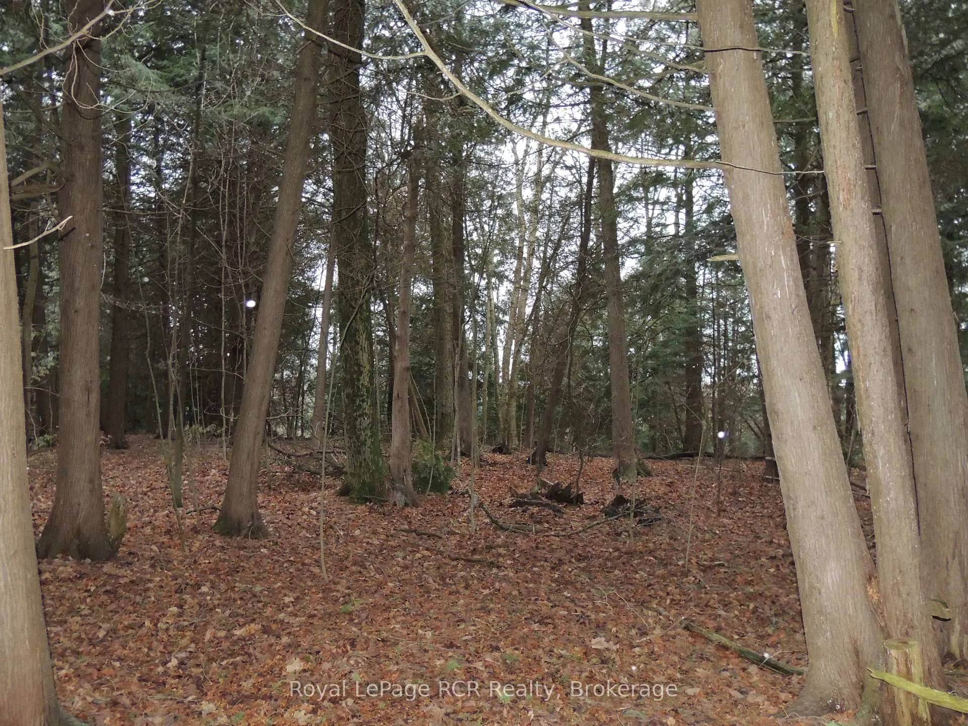 Photo 5 of PTLT 48 North Line, West Grey — HOMEH