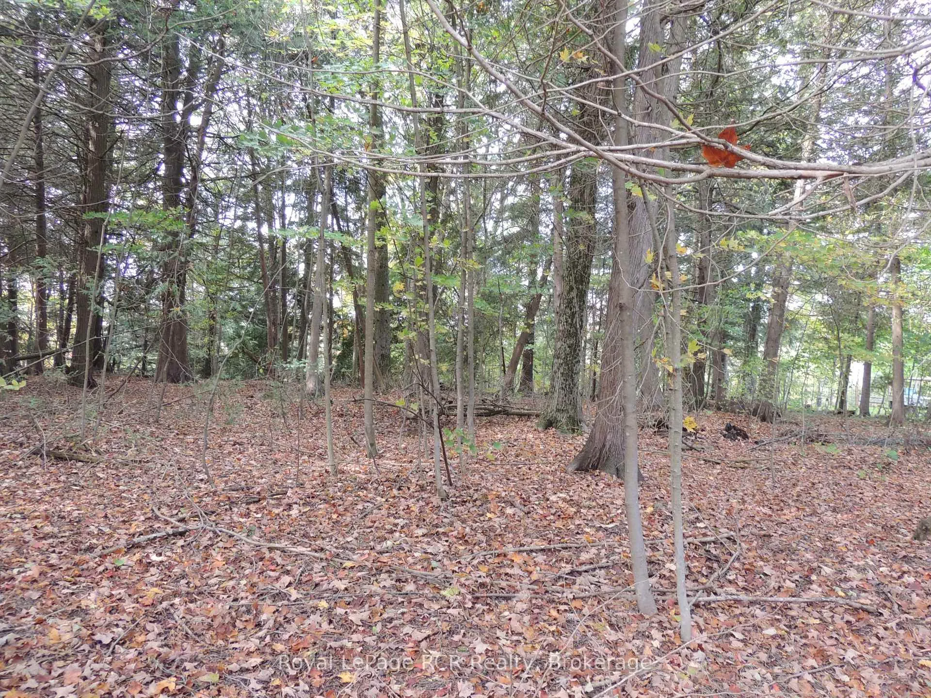 Photo 7 of PTLT 48 North Line, West Grey — HOMEH