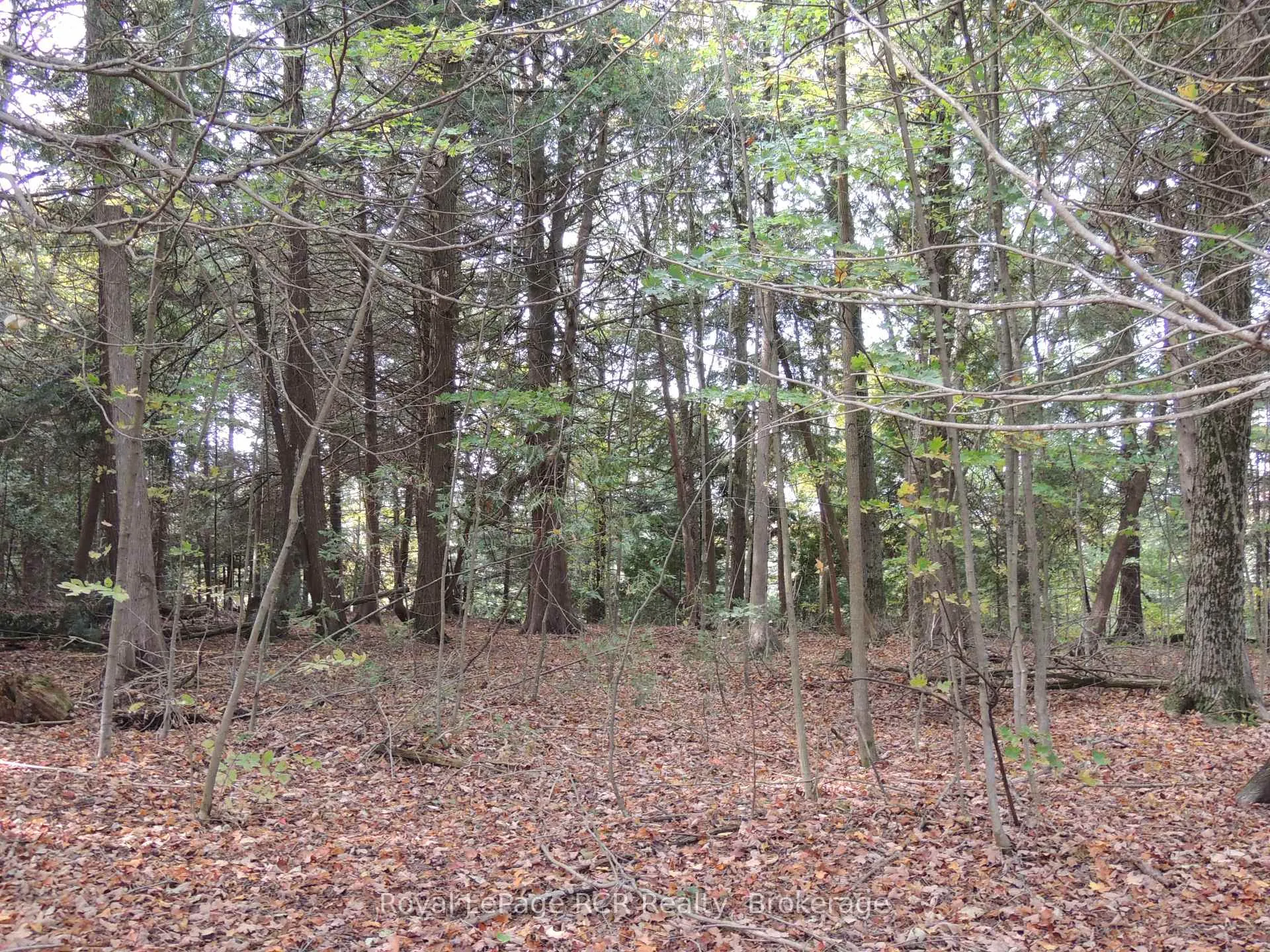 Photo 8 of PTLT 48 North Line, West Grey — HOMEH