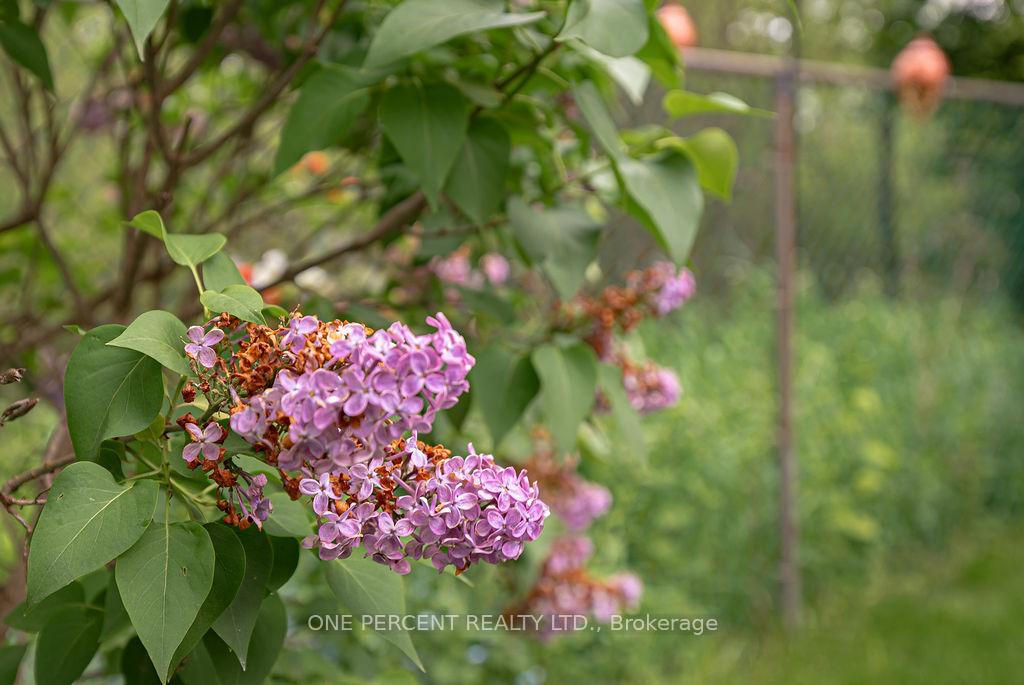 Photo 35 of 664 Highpoint Avenue, Waterloo — HOMEH