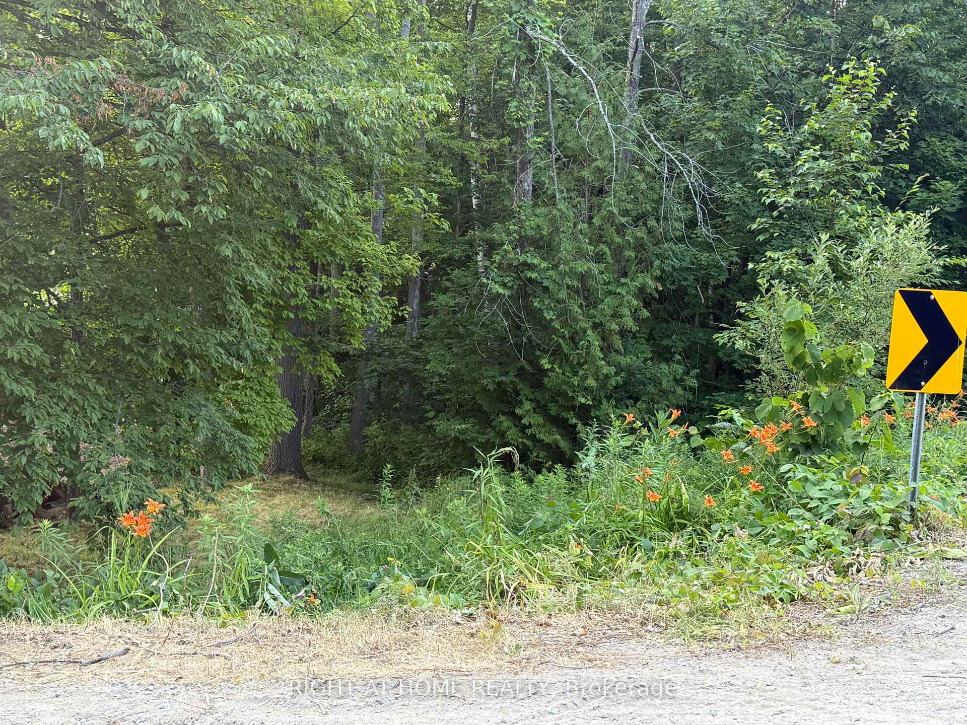 Photo 6 of 42 Edgewater Drive, Alnwick/Haldimand, Rural Alnwick/Haldimand — HOMEH