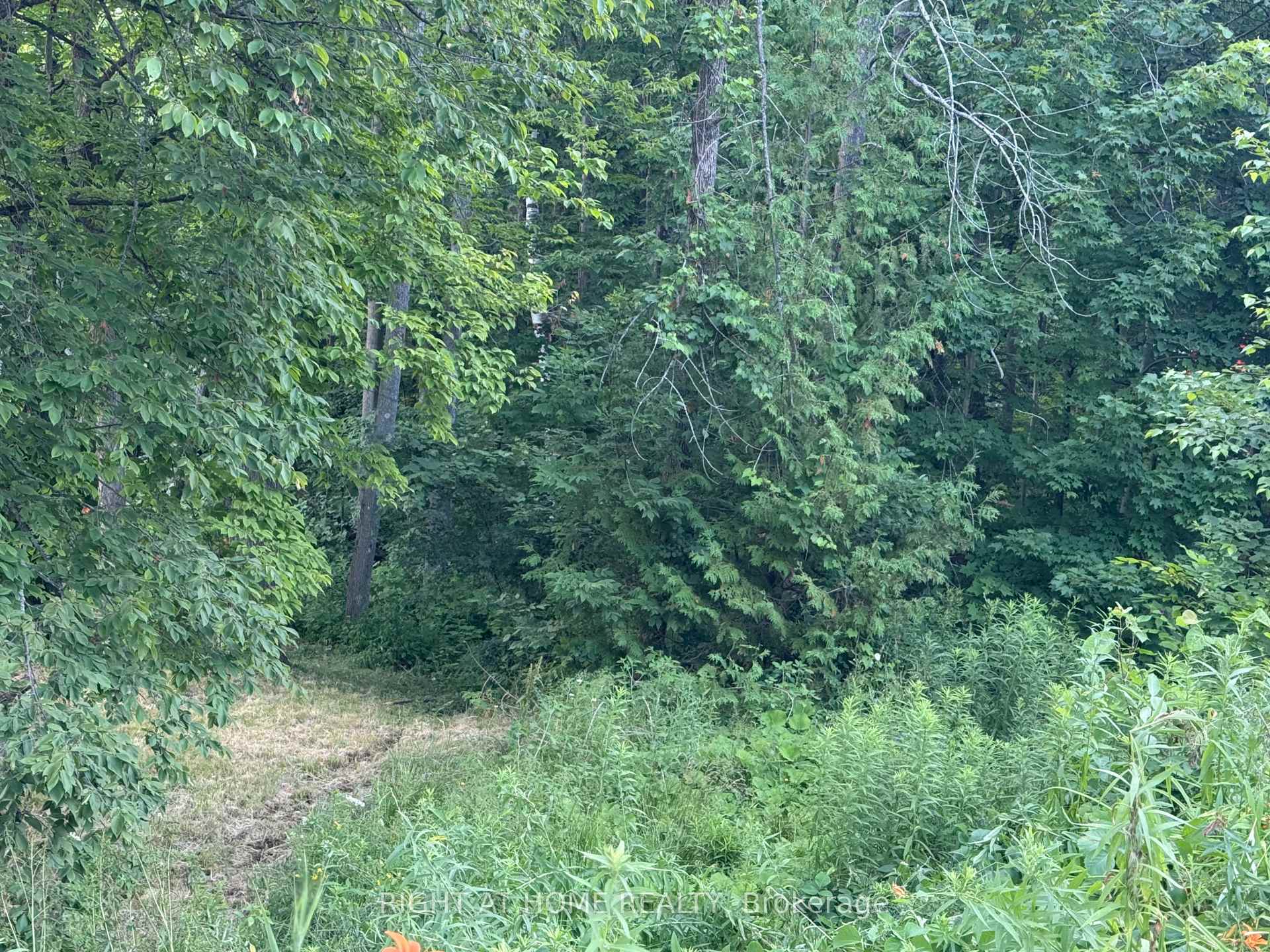 Photo 8 of 42 Edgewater Drive, Alnwick/Haldimand, Rural Alnwick/Haldimand — HOMEH