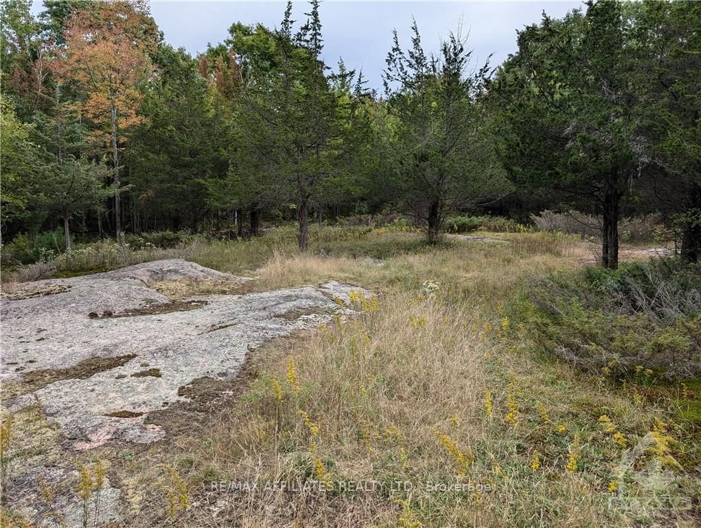 Photo 24 of Mountain Road, Westport — HOMEH