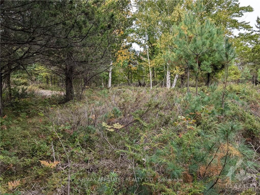 Photo 19 of Mountain Road, Westport — HOMEH