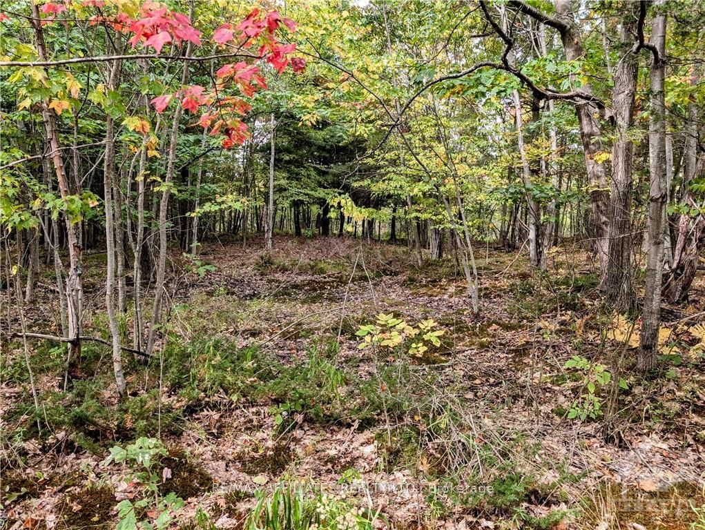 Photo 17 of Mountain Road, Westport — HOMEH