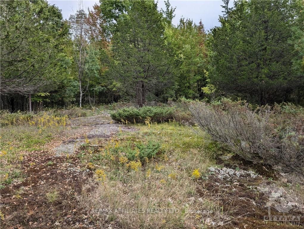 Photo 22 of Mountain Road, Westport — HOMEH