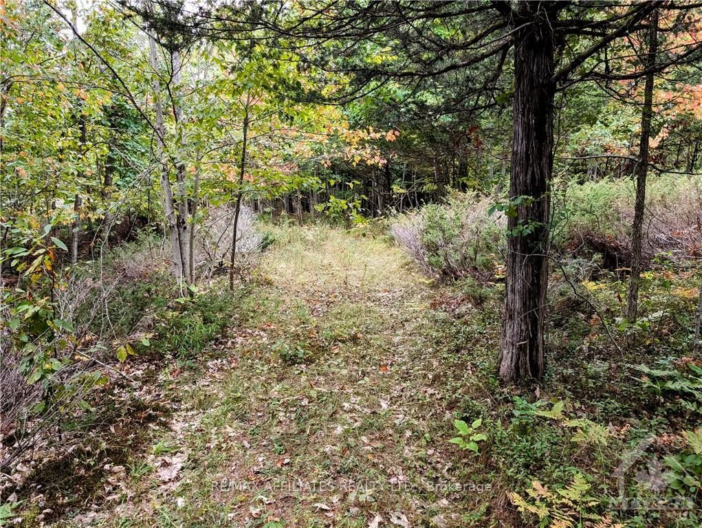 Photo 18 of Mountain Road, Westport — HOMEH