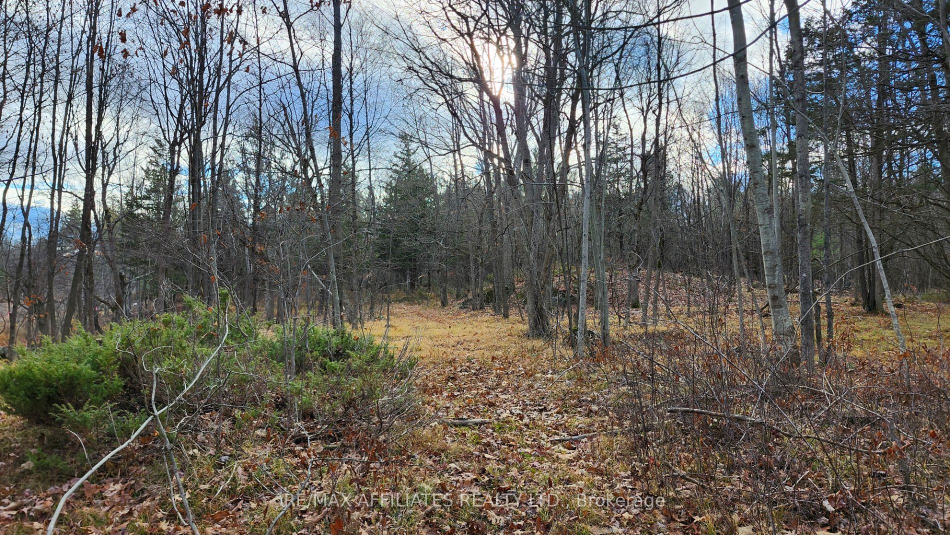 Photo 35 of Mountain Road, Westport — HOMEH