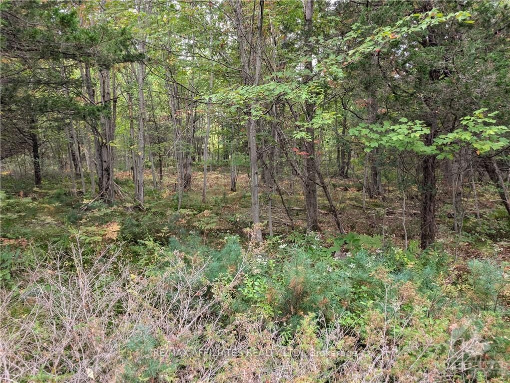 Photo 21 of Mountain Road, Westport — HOMEH