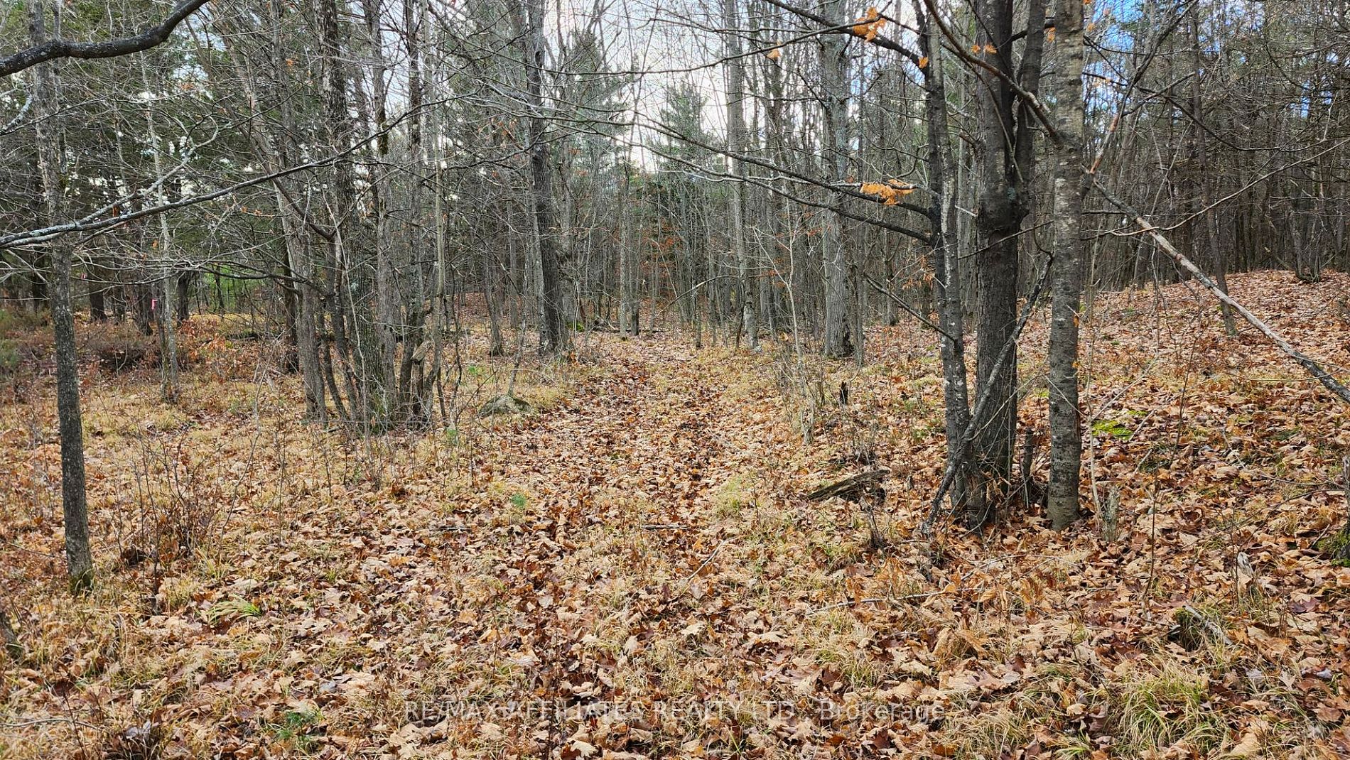 Photo 33 of Mountain Road, Westport — HOMEH