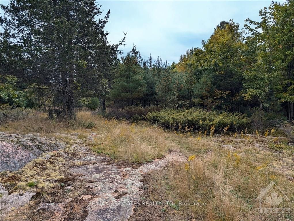 Photo 14 of Mountain Road, Westport — HOMEH