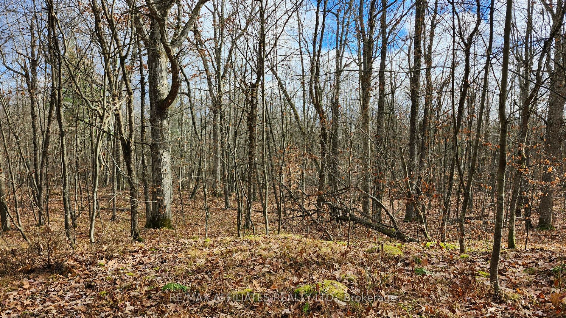 Photo 34 of Mountain Road, Westport — HOMEH