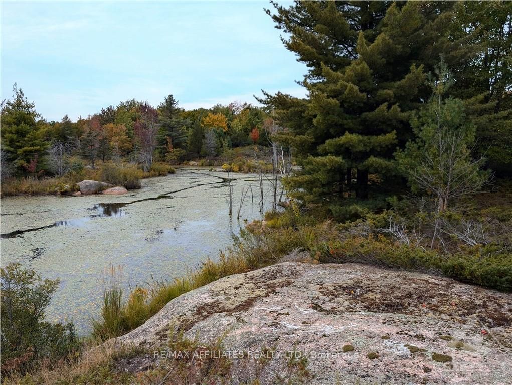 Photo 5 of Mountain Road, Westport — HOMEH