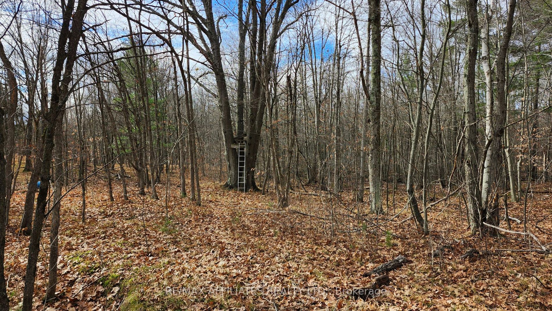 Photo 30 of Mountain Road, Westport — HOMEH