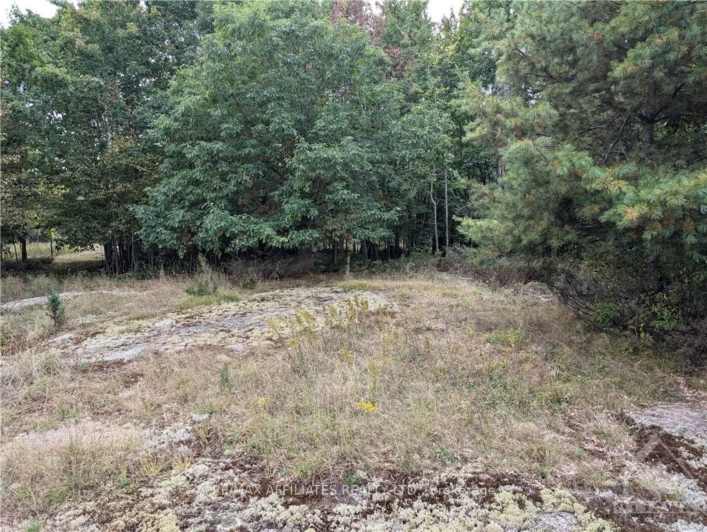Photo 12 of Mountain Road, Westport — HOMEH