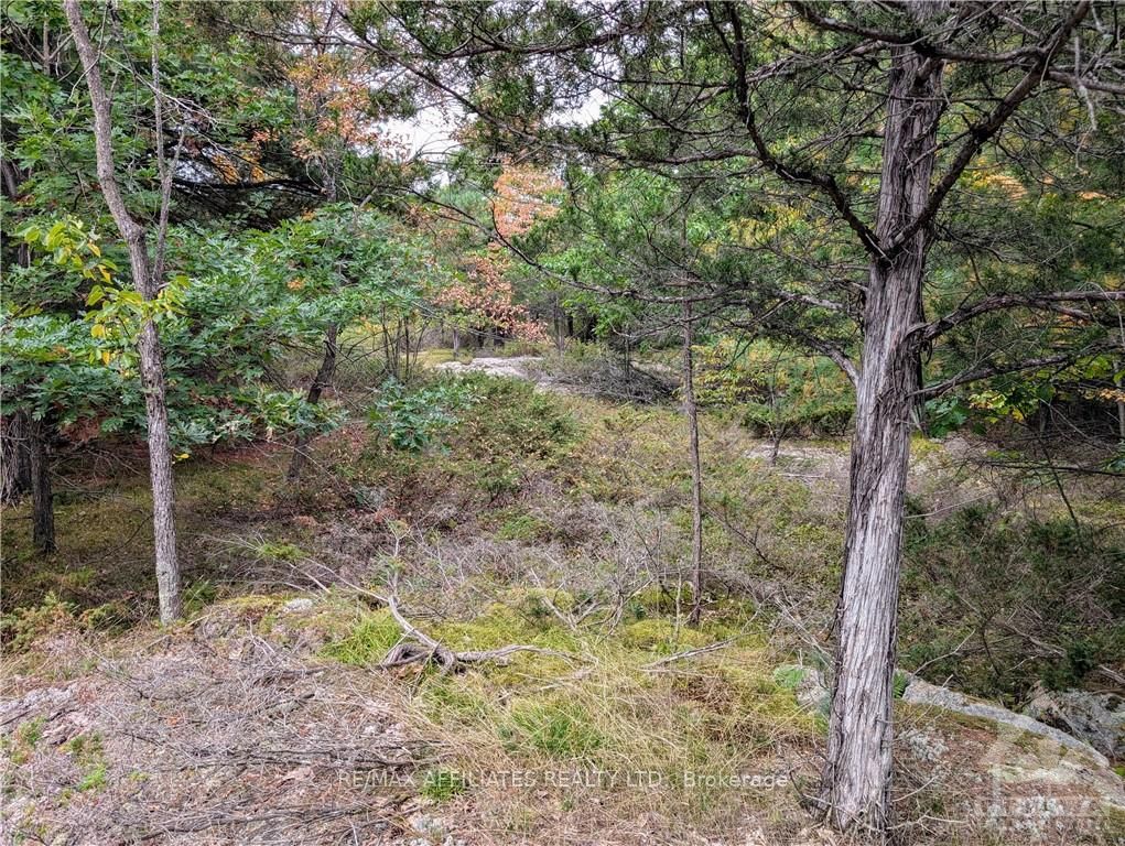 Photo 6 of Mountain Road, Westport — HOMEH