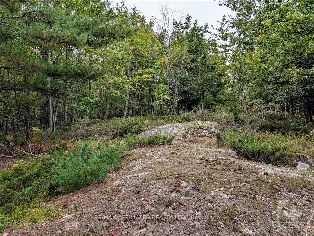 Photo 25 of Mountain Road, Westport — HOMEH